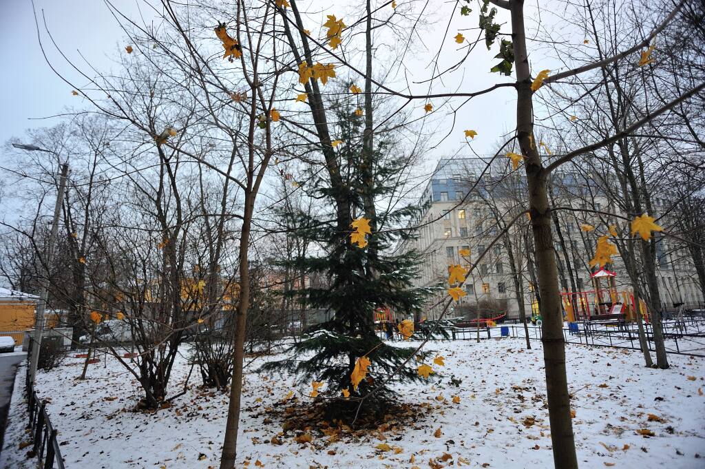 Санкт-Петербург: Квартира Мемориальная сталинка в центре Петербурга