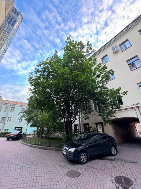 Санкт-Петербург: Квартира Большая Московская 11