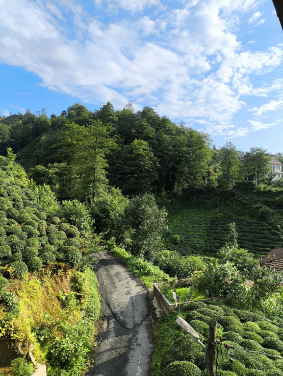 Апарт-отель Rize Akarsu Apart — фото 6