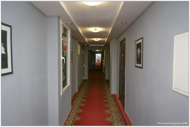 Пермь: Отель ЦветЫ