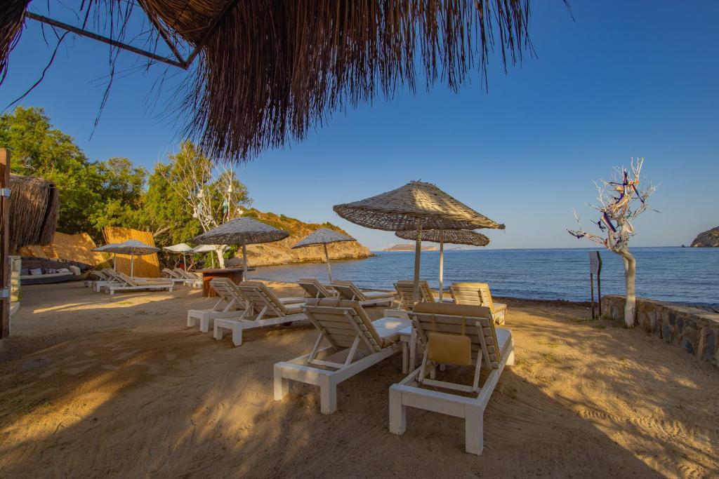 Гюмюшлюк: Ladonia Hotels Zemda