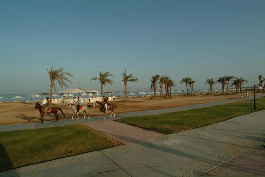 Шарм-эш-Шейх (Шарм-эль-Шейх): Amarina Sun Resort and Aqua Park