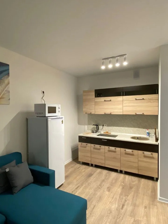 Мисайлово: Квартира однокомнатная Пригородное 14