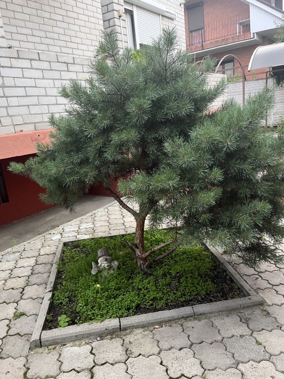 Калининград: Частный дом с бассейном, сауной и камином