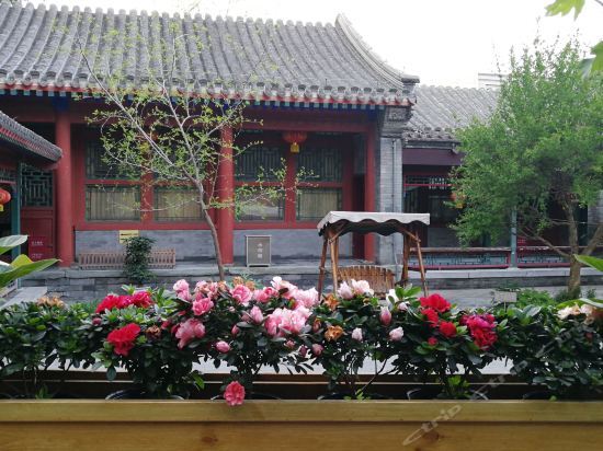 Пекин: Ywca Garden