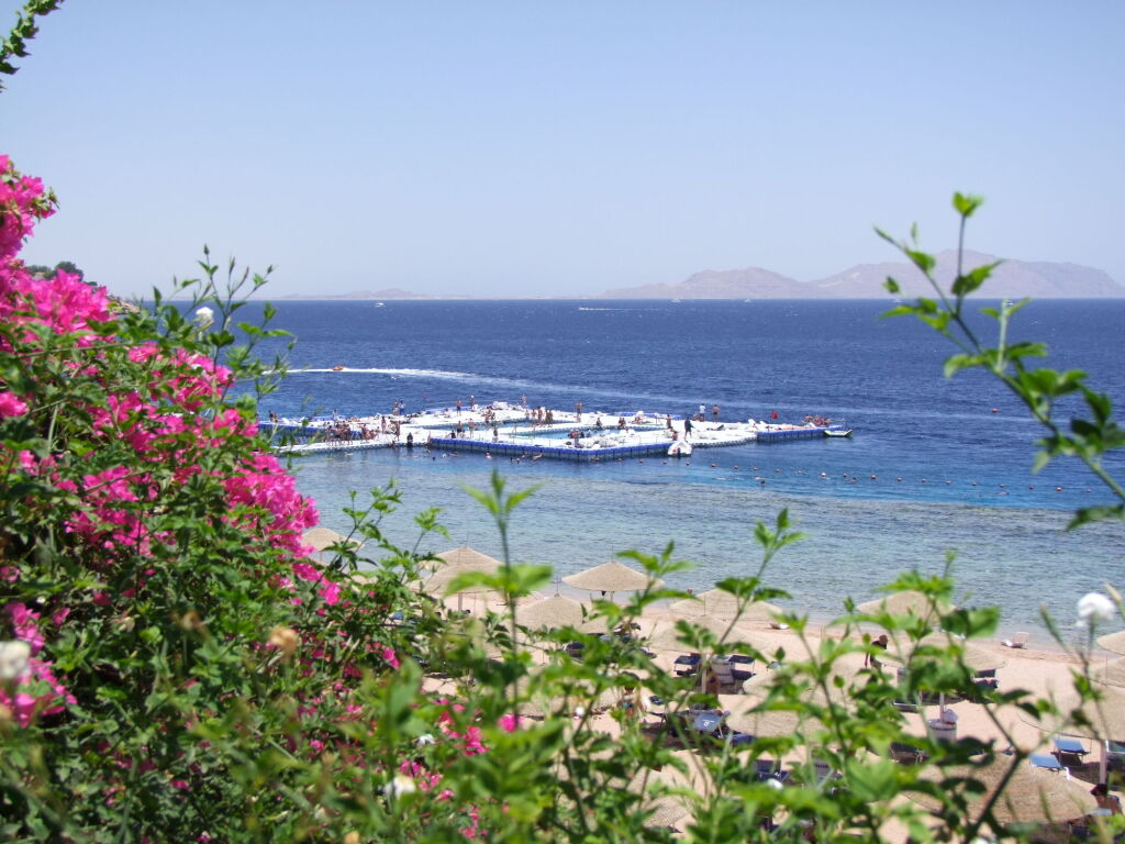 Шарм-эш-Шейх (Шарм-эль-Шейх): Domina Coral Bay Elisir