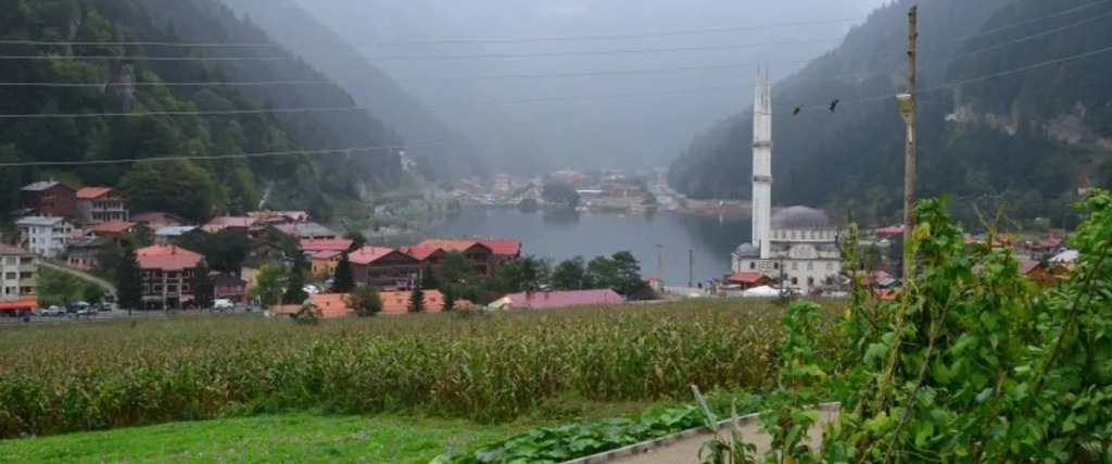 Узунгёль: Uzungöl Öztürk Hotel