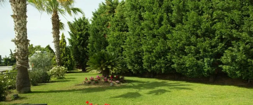 Бодрум: Villa Rana