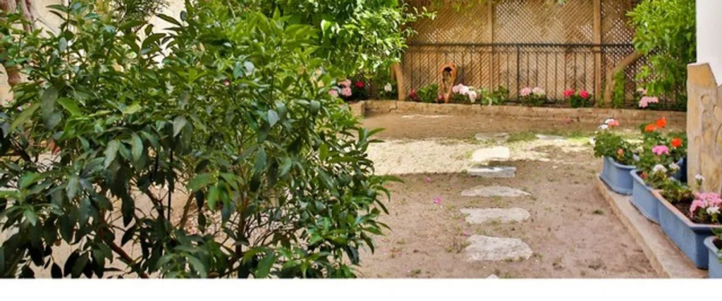 Бодрум: Villa Rana