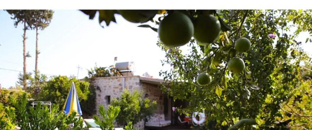 Бодрум: Villa Limon