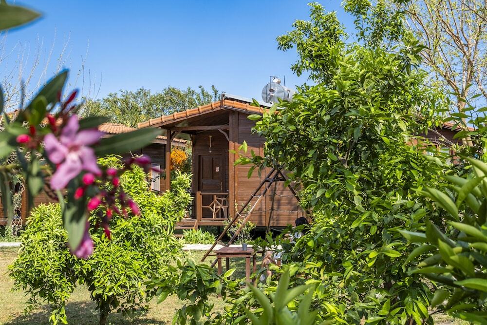 Чиралы: La Maison Hotel Çıralı