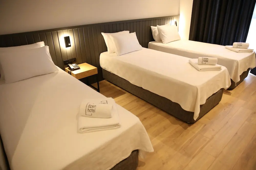 Эдирне: Özen Hotel