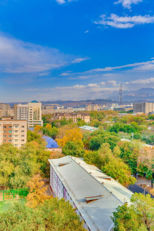 Алматы: Апартаменты Asaapart Lamiya 3 67A