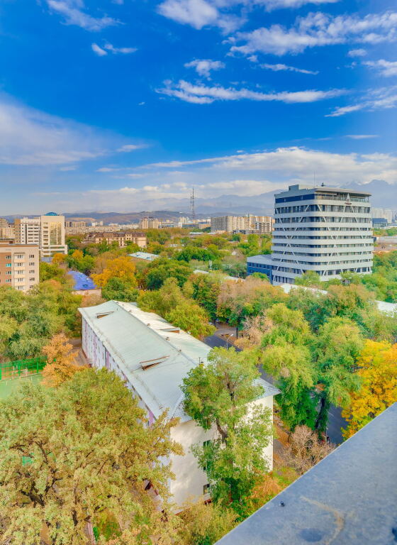Алматы: Апартаменты Asaapart Lamiya 3 67A