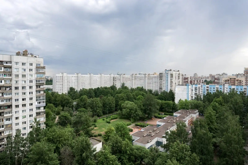 Санкт-Петербург: Квартира Городские Джунгли