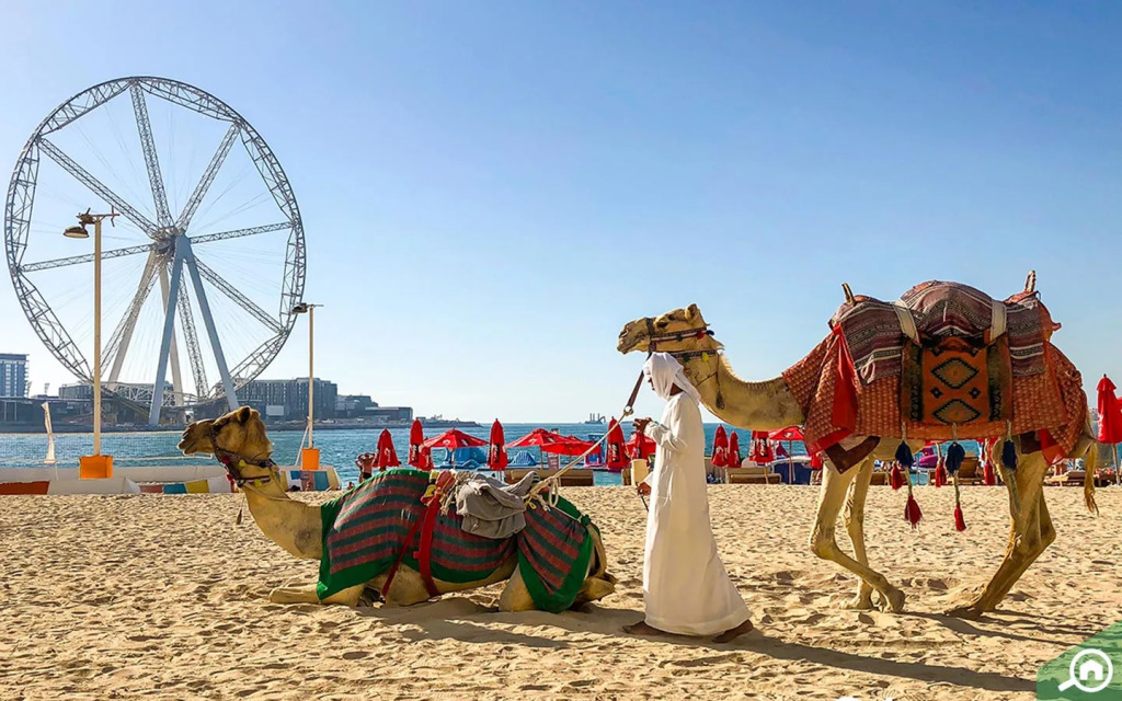 Дубай: Апартаменты Studio on JBR, SEA view, POOL, Gym, LARGE terrace