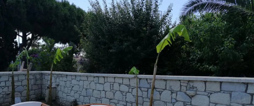 Чешме: Ivy House Alacati