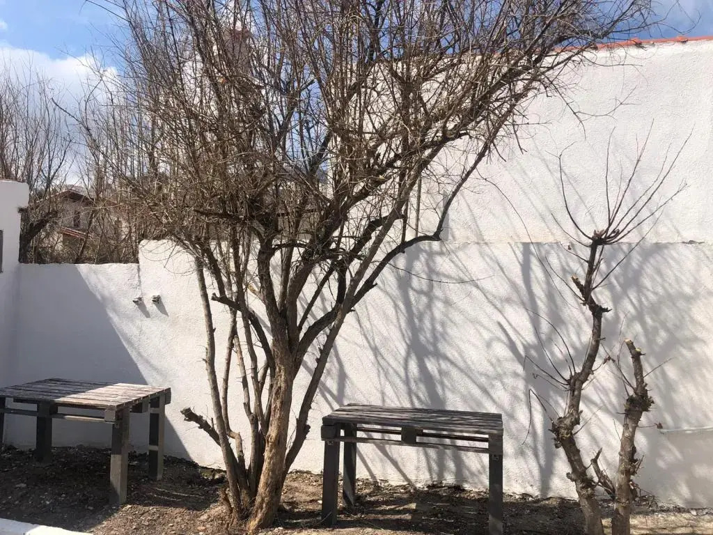 Карабурун: Denizkizi Butik Pansiyon Karaburun