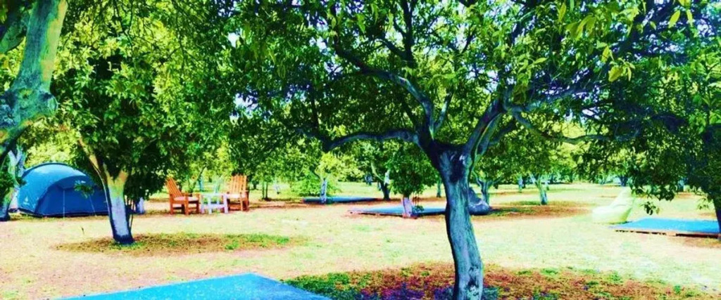 Ecofarm Campbungalow — фото 4