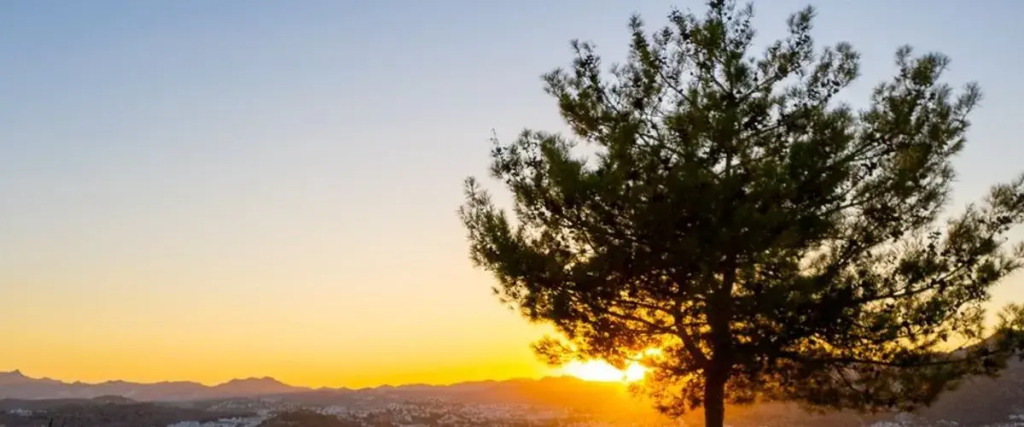 Бодрум: Bodrum Panorama Homes