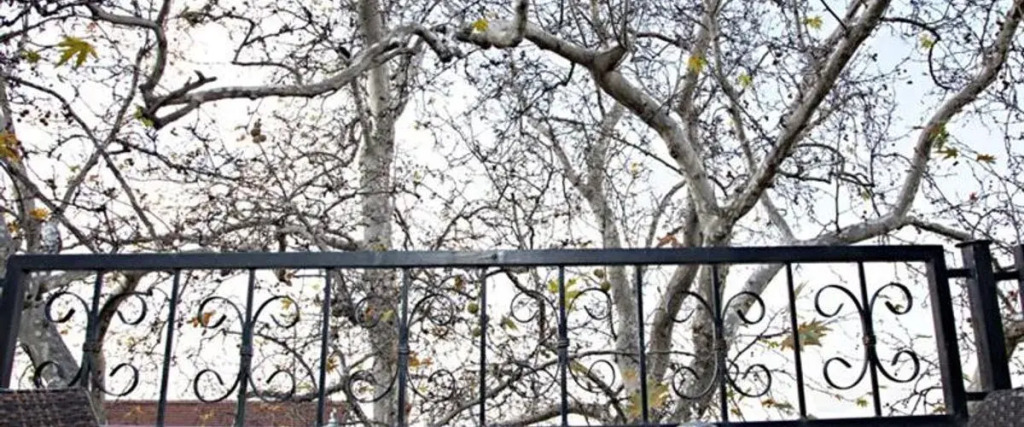 Бурса: Kadı Konağı Termal Otel