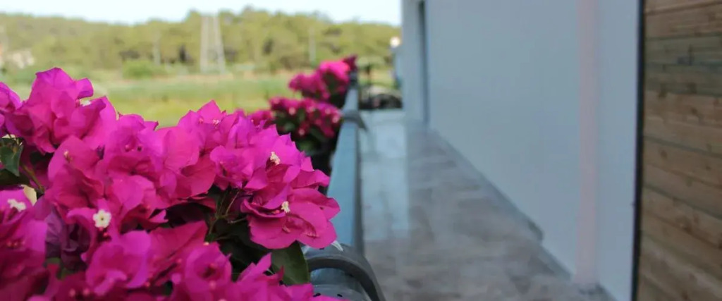 Саригерме: Mila House Muğla