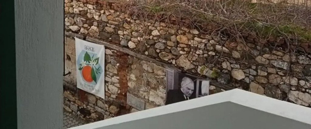 Сыгаджик: Felicitta Stay & Joy