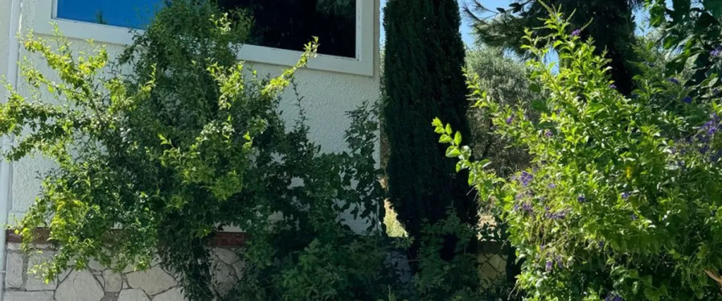 Урла: Casa Del Olivia