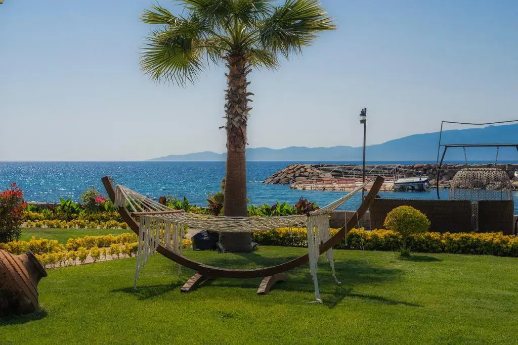 Коюневи: Assos Zeytinhan Hotel Special Class (Adults Only +12)