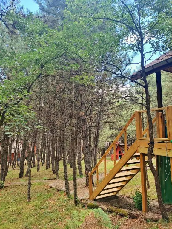 Гереде: Campinari Doga Evleri & Restaurant