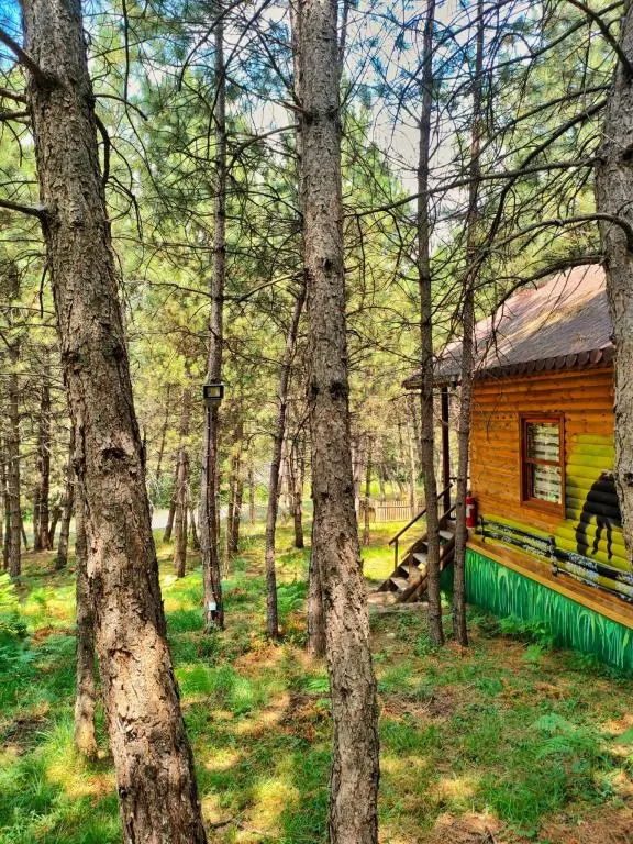 Гереде: Campinari Doga Evleri & Restaurant