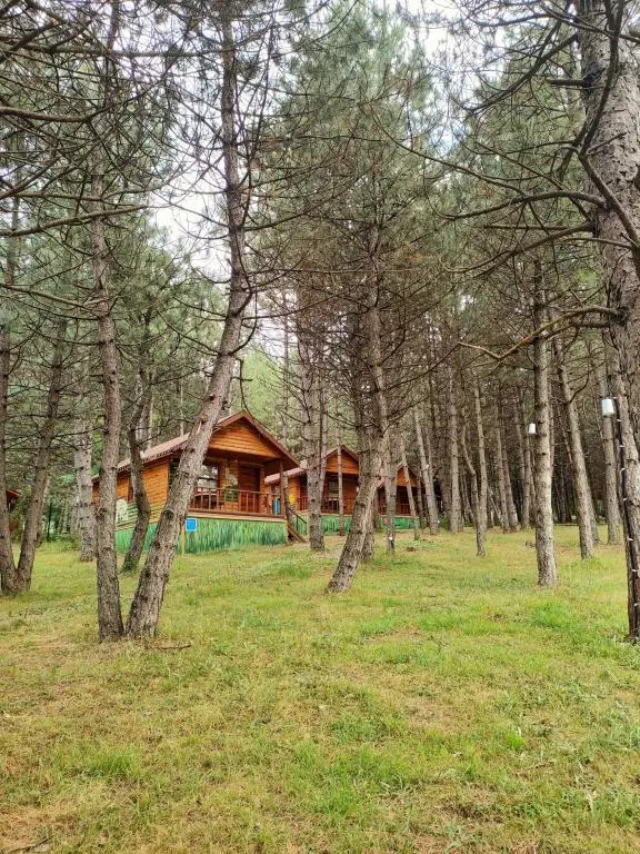 Гереде: Campinari Doga Evleri & Restaurant
