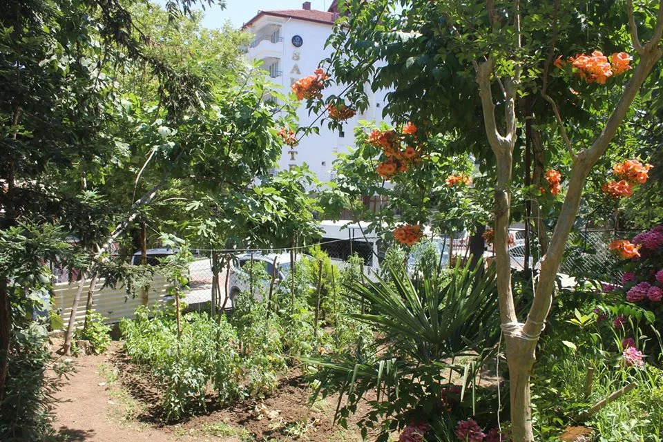 Термал: Termal Orkide Motel
