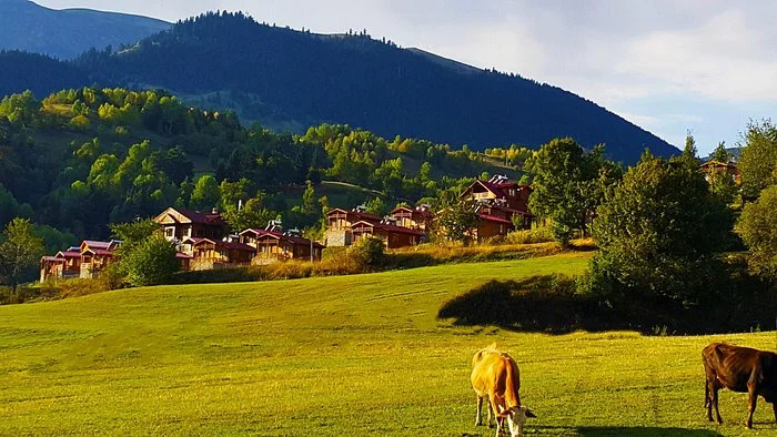 Laset Bungalov Tatil Koyu — фото 3
