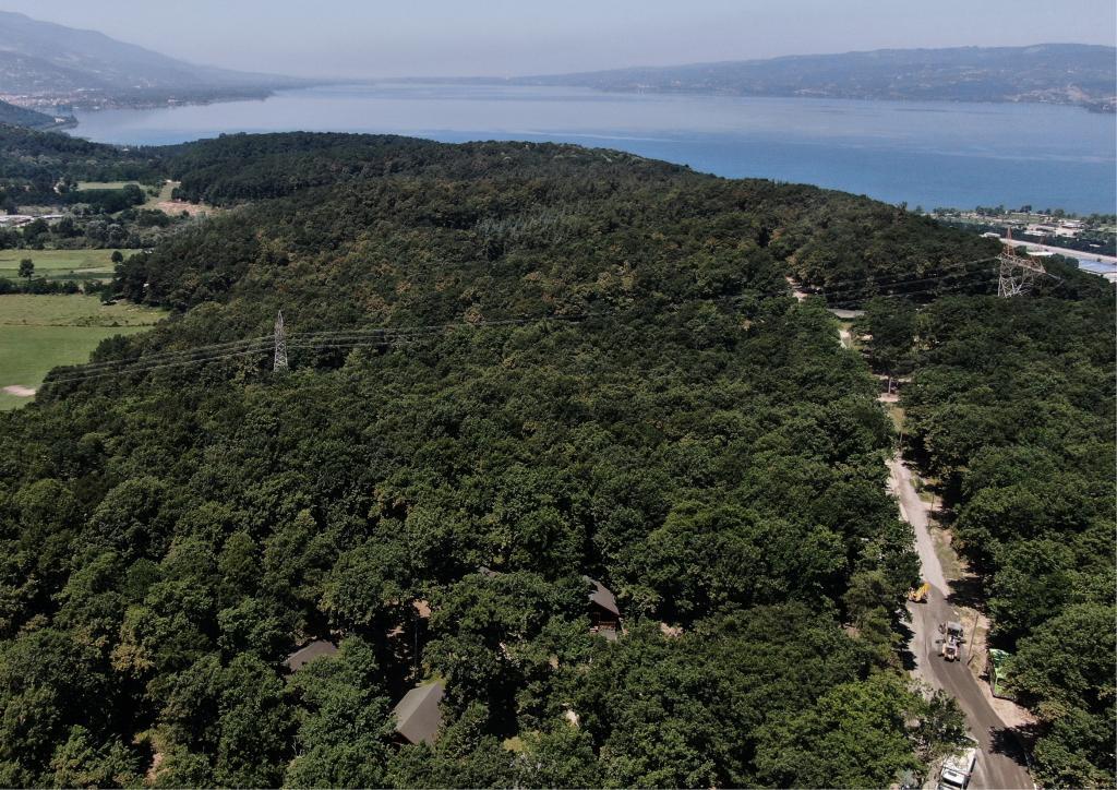 Сакарья: Sapanca Tabiat Parki Bungalow Orman Evleri