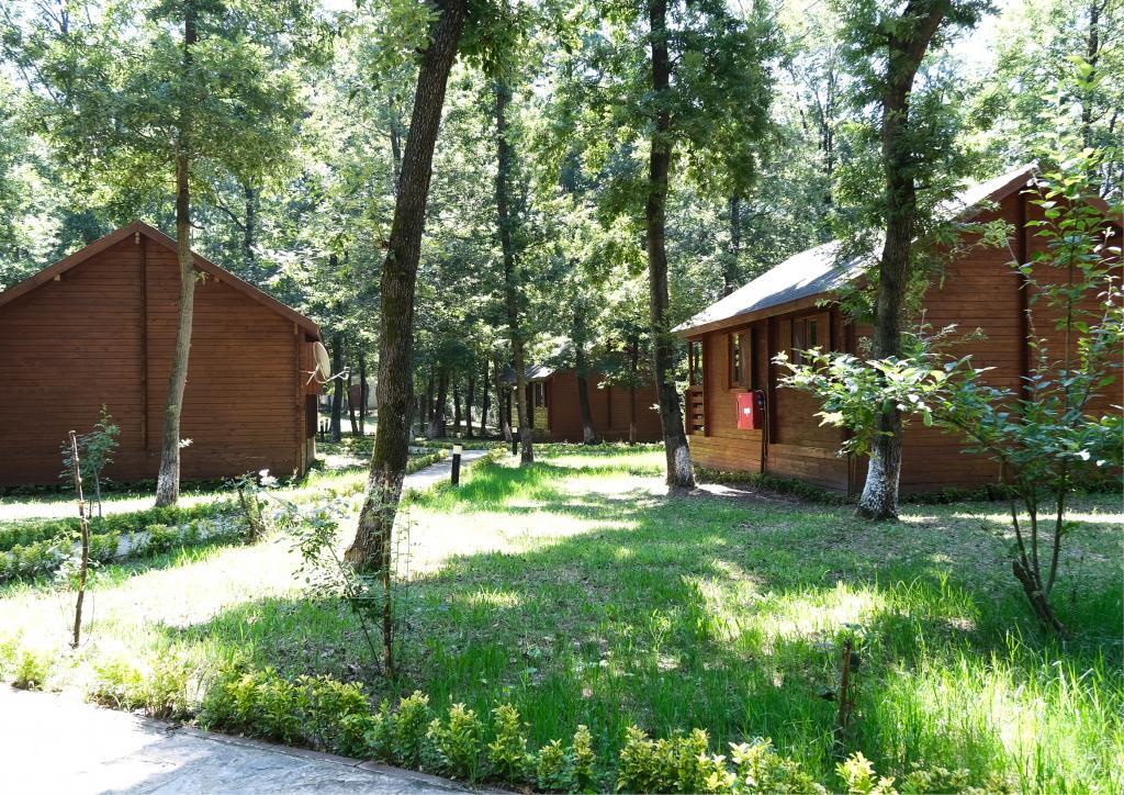 Сакарья: Sapanca Tabiat Parki Bungalow Orman Evleri