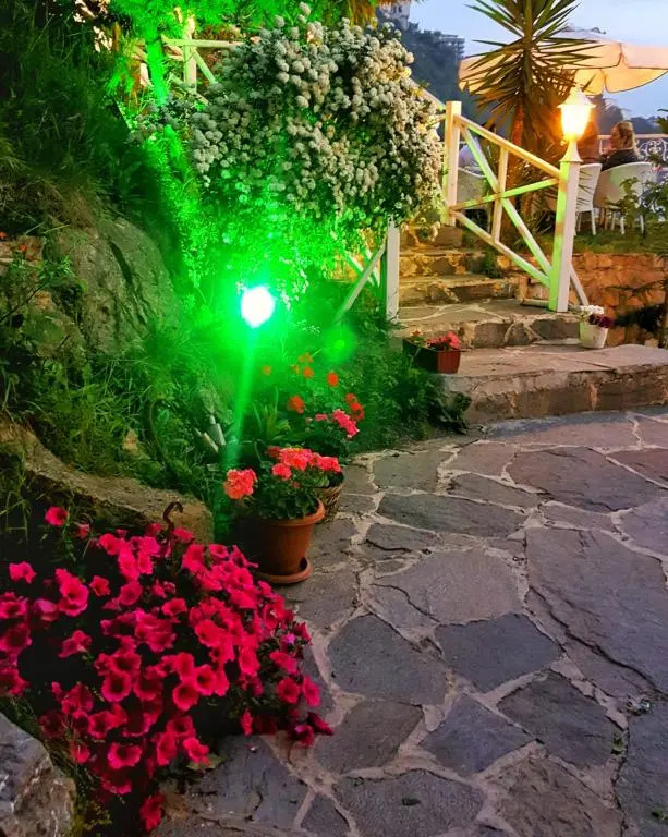 Зонгулдак: Babizer Konaklama Ve Restorant