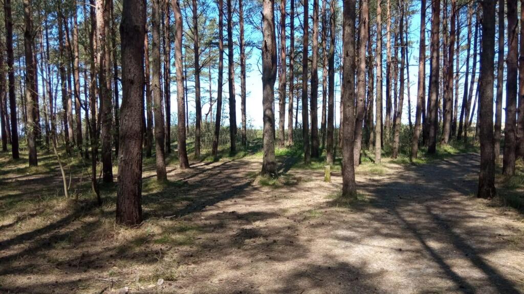 Зеленоградск: Дом на улице Лазурная