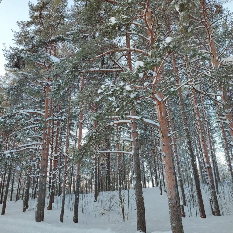Карельский мыс — фото 1