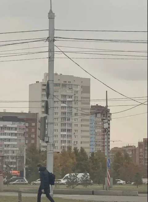 Красноярск: КварТигра на улице Алексеева