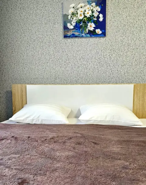 Петропавловск-Камчатский: Океан Апартаментов на улице Тушканова
