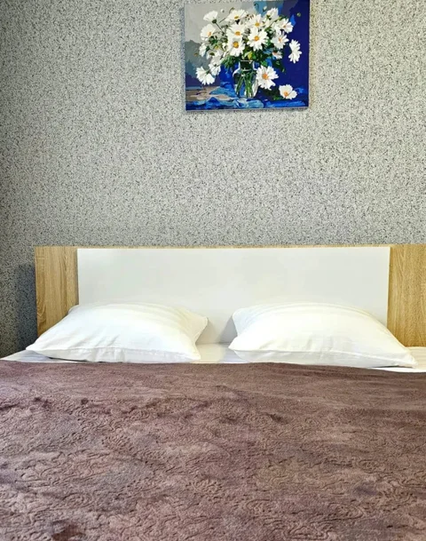 Петропавловск-Камчатский: Океан Апартаментов на улице Тушканова