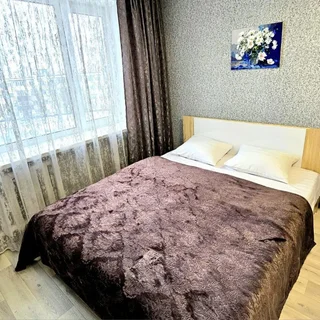 Петропавловск-Камчатский: Океан Апартаментов на улице Тушканова