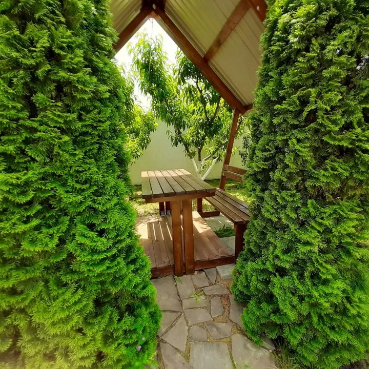 Николаевка: Guest House Manaka