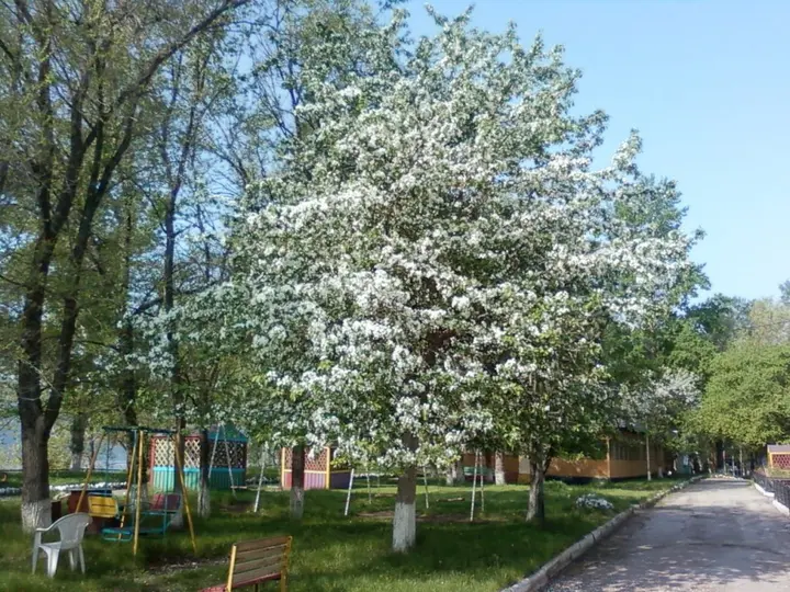 Тольятти: Волна
