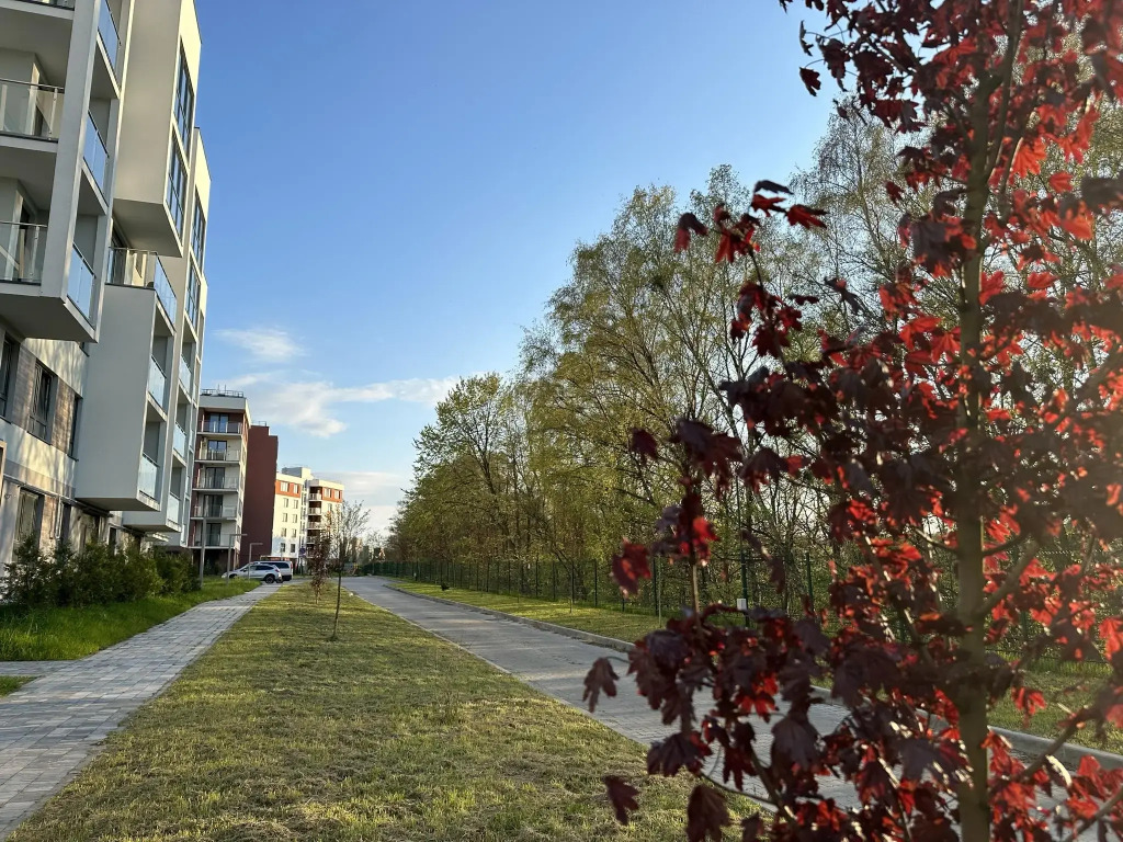 Baltic Resort (Балтик Резорт) на улице Ольховая — фото 1
