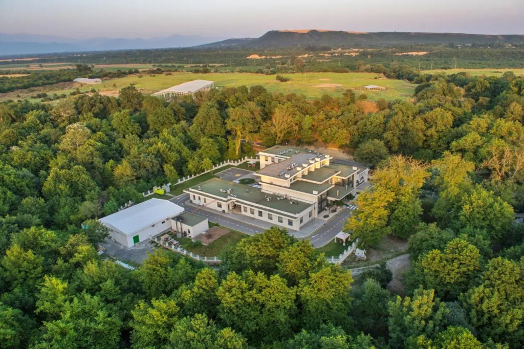 Габала: Отель Gabala Qoruq Resort