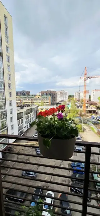 Вологда: Апартаменты "Дом Альберта"