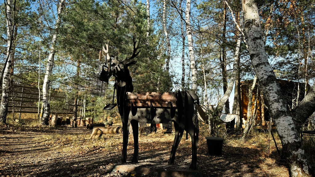 Павловский Посад: Вилла WoodyHouse