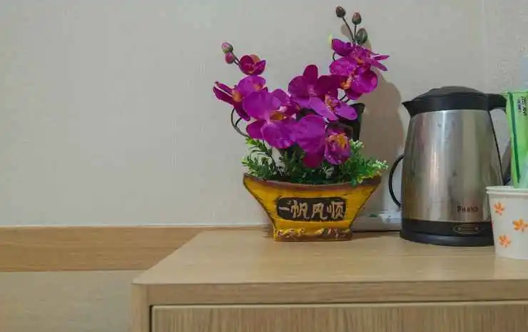 Коулун: Ever Easy Hotel (Mongkok MTR Exit E1)